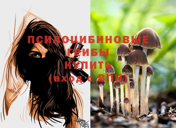 гашиш Заводоуковск