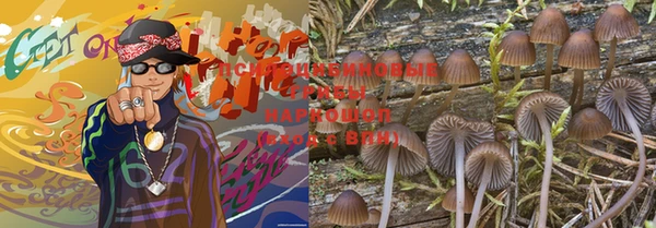 гашиш Заводоуковск