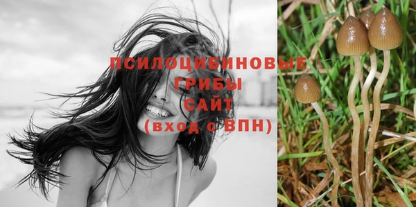 гашиш Заводоуковск