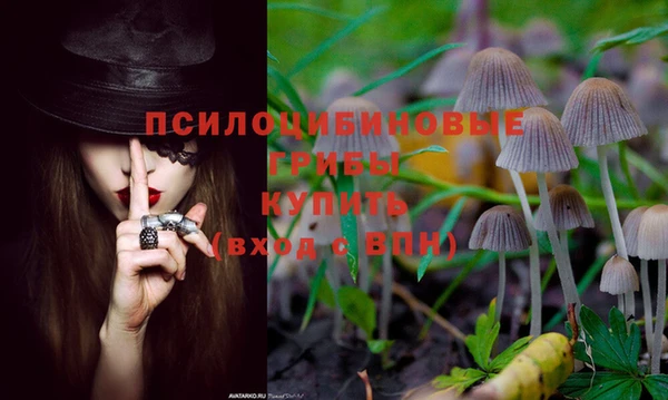 ПСИЛОЦИБИНОВЫЕ ГРИБЫ Заволжск