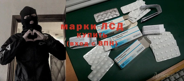 ПСИЛОЦИБИНОВЫЕ ГРИБЫ Заволжск